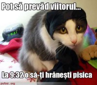 /album/funny-pictures/poze-amuzante-poza-amuzanta-pisica-ghiceste-in-ste-7b9ab3cc5723a9-jpg/