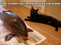 /album/funny-pictures/a43073280-mxfvabplr-jpg/