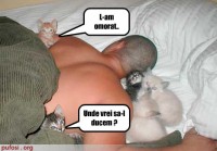 /album/funny-pictures/poze-amuzante-poza-amuzanta-pisicile-si-au-omorat-stapanul-si-nu-sunt-hotarate-ce-vor-face-cu-cadavrul-acestuia-jpg/